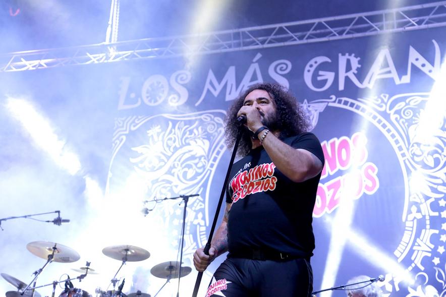 Cantante bajo los focos 