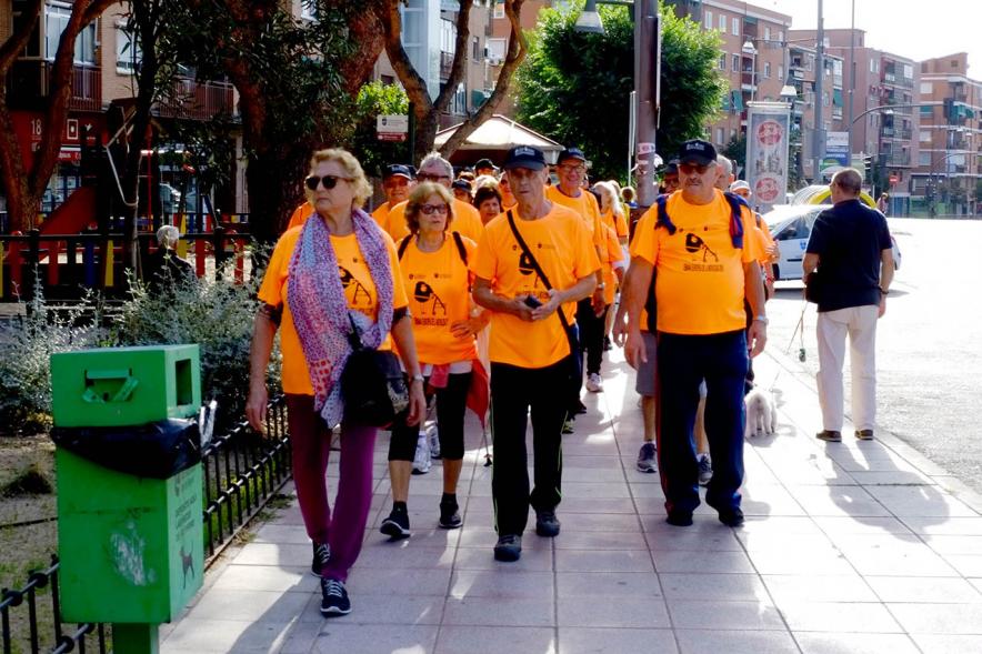 Semana de la Movilidad - Itinerario Saludable de Mayores - Imagen de un grupo de mayores recorriendo la ciudad.