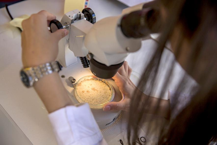 Finde Científico en MUNCYT - Primer plano del microscopio.