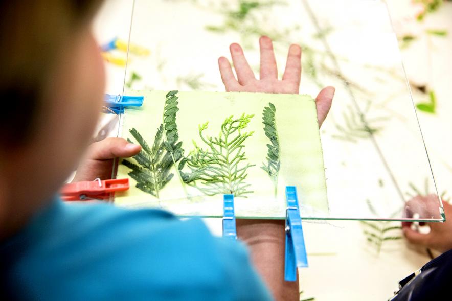 Finde Científico en MUNCYT - Primer plano de una actividad infantil.