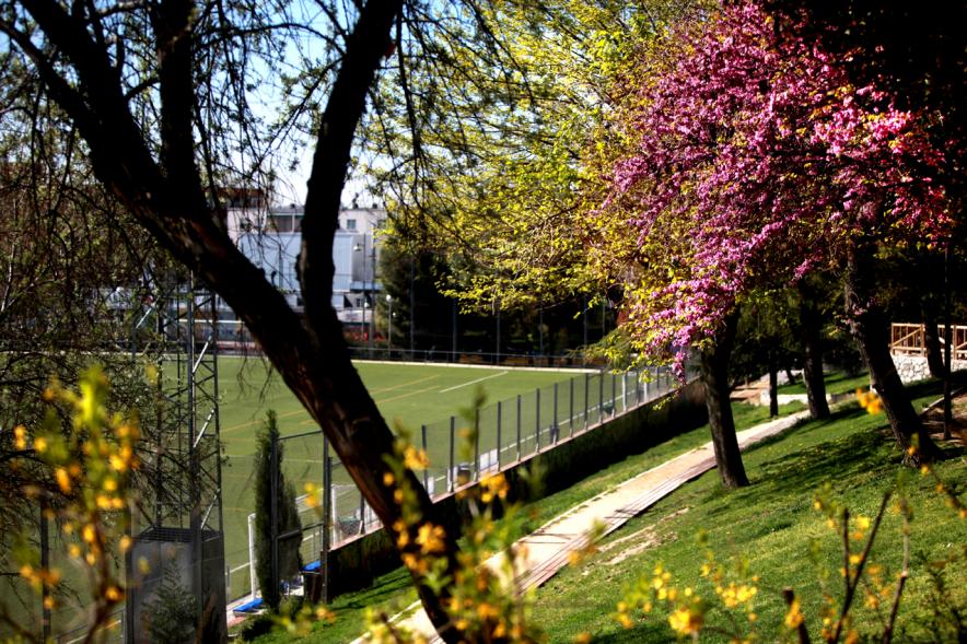 Arboleda y zonas verdes del Parque de Navarra anexas a campo de fútbol césped