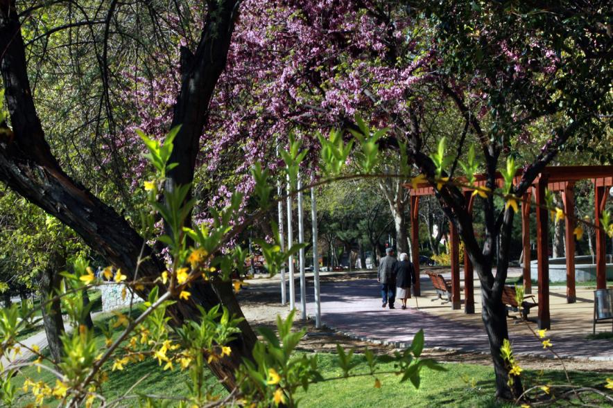 Paseo y Vista de la arboleda del Parque de Navarra