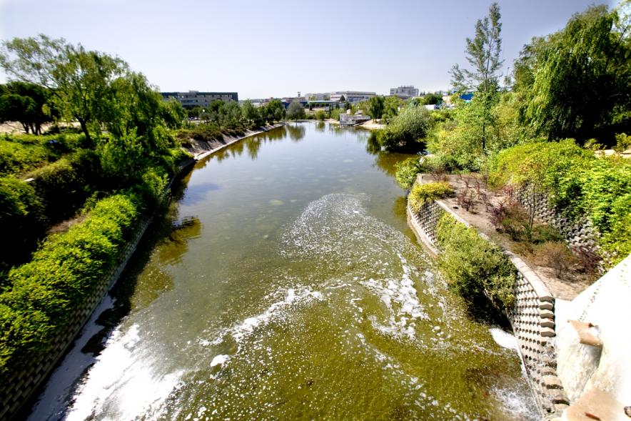 Río artificial en el parque de Galicia