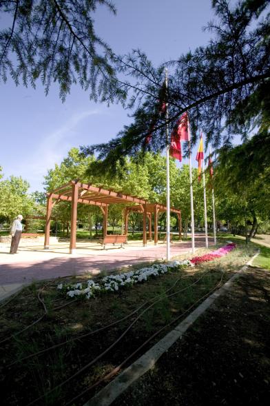 Arboleda y zona verde en el parque de Navarra, Alcobendas