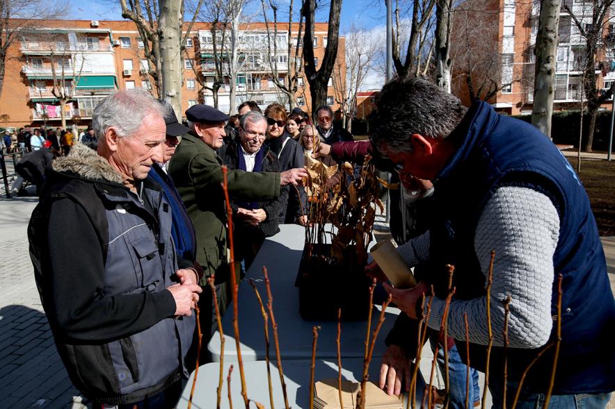 Entrega de esquejes a los vecinos. Inauguración Parque de Asturias y Cantabria - 2020