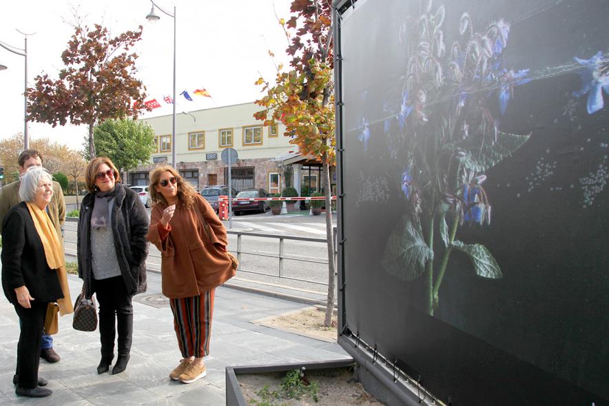Pilar Pequeño y autoridades en la Inauguración. 