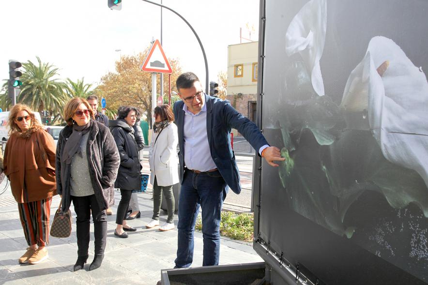 Concejales en la Inauguración Exposición Pilar Pequeño 
