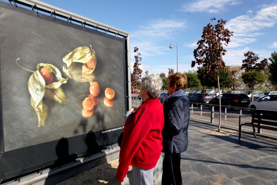 Asistentes a la Inauguración Exposición Pilar Pequeño
