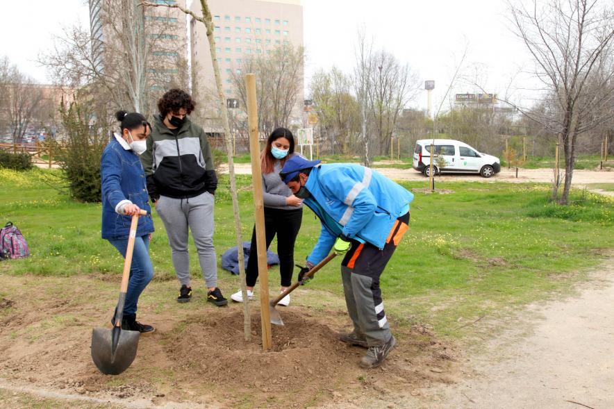 Alumnos del SEIS Aldebarán V. plantando un árbol.