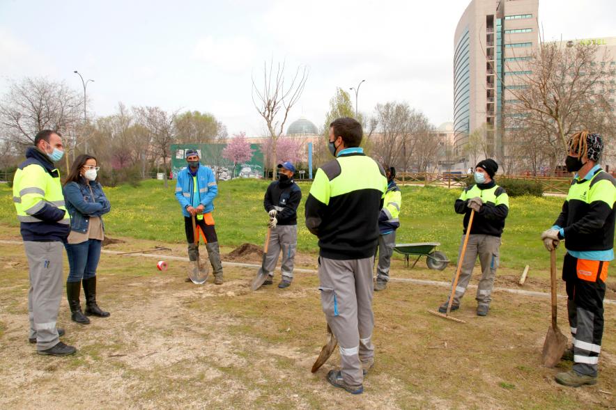 Representantes del consistorio y operarios en la plantación de los árboles. 