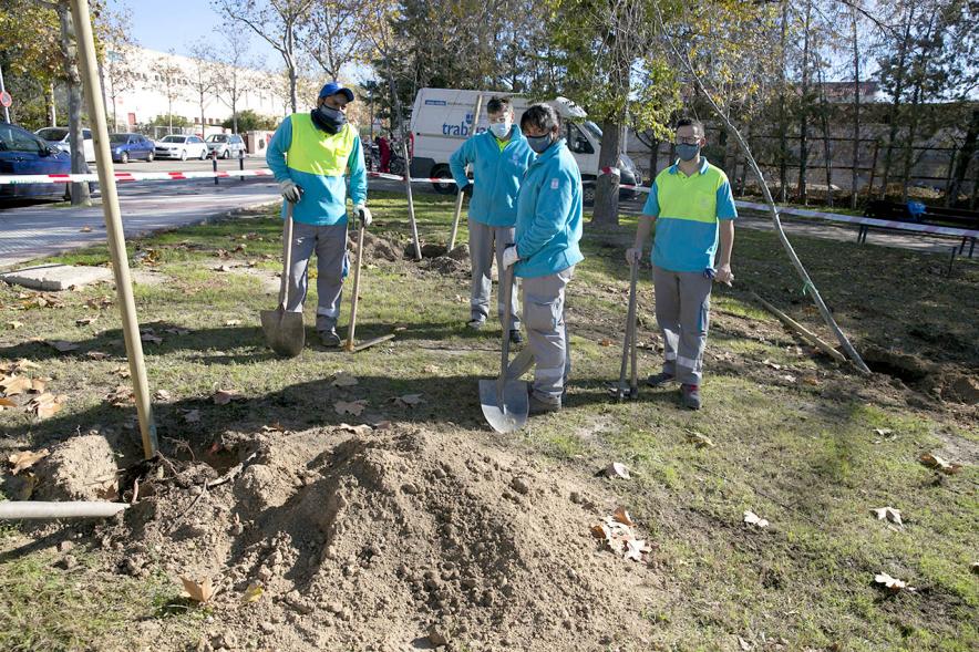 Plantación de Árboles por parte de Niños y Niñas del Consejo de la Infancia - Imagen de cuatro jardineros preparando el terreno.