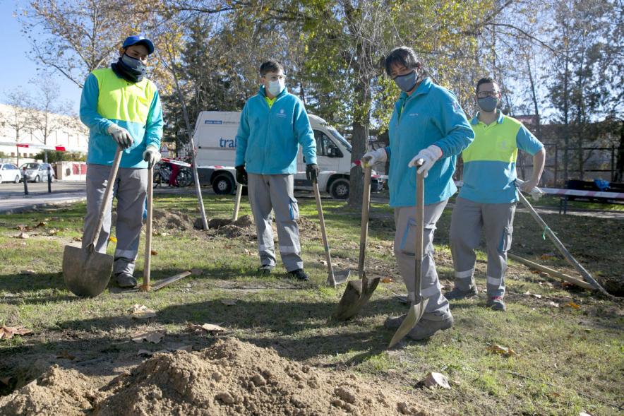 Plantación de Árboles por parte de Niños y Niñas del Consejo de la Infancia -  Imagen de cuatro jardineros preparando el terreno.