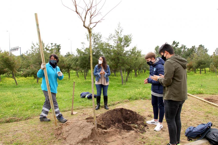 Momento de la plantación del árbol.