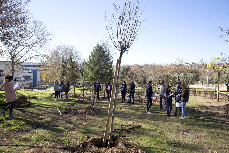 Plantación de Árboles por parte de Niños y Niñas del Consejo de la Infancia - Panorámica del lugar de la plantación con los niños preparándose.