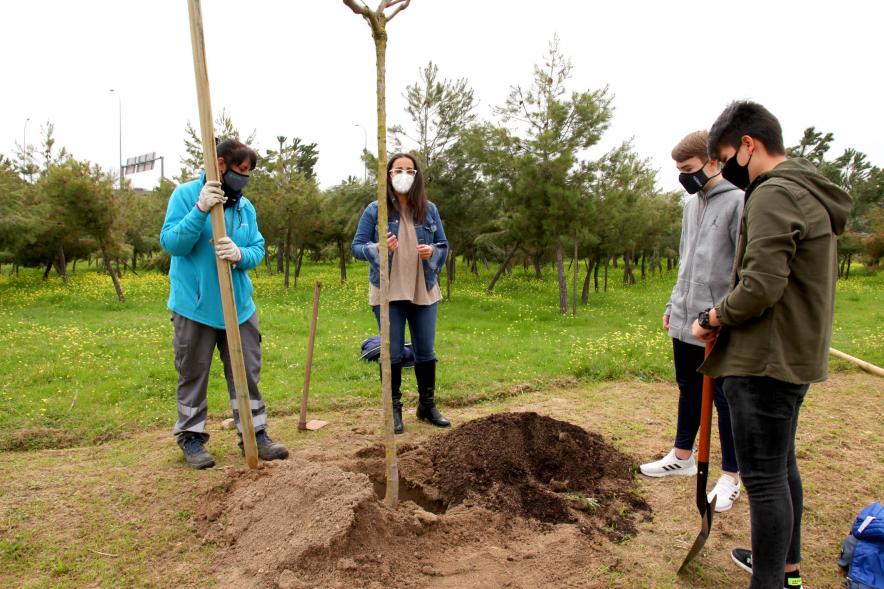 Momento de La plantación del árbol. 