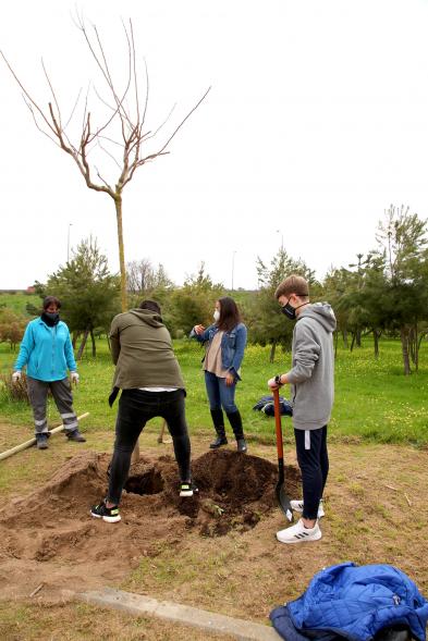 Alumnos del SEIS Aldebarán V. plantando un árbol.