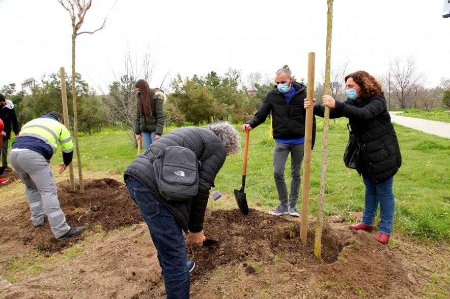 Momento de la plantación. 