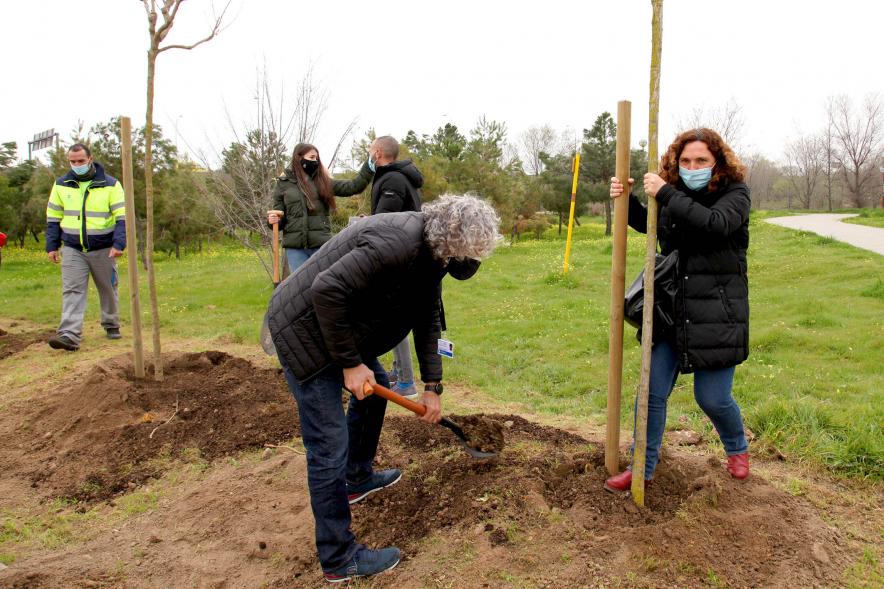 Momento de la plantación de un árbol. 