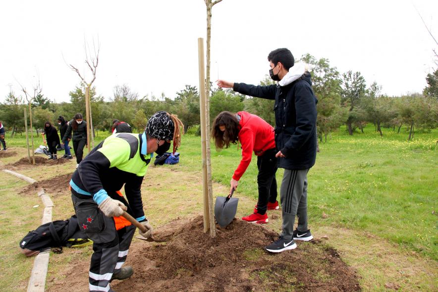 Momento de la plantación de un árbol. 