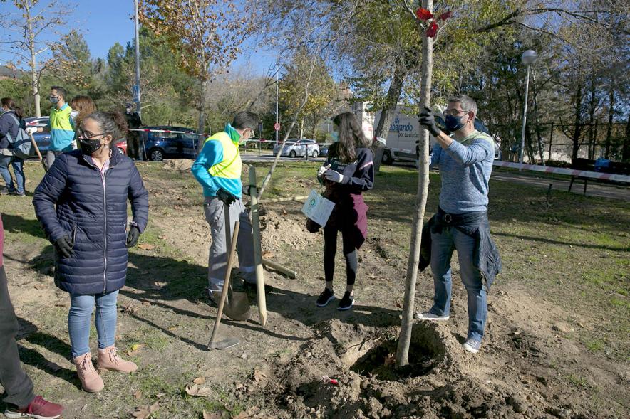 Plantación de Árboles por parte de Niños y Niñas del Consejo de la Infancia -  Imagen del alcalde Sánchez Acera y  los corporativos municipales  ayudando a plantar los árboles.