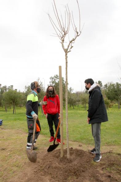 Momento de la plantación de un árbol. 