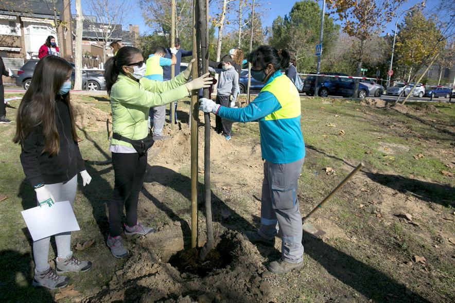 Plantación de Árboles por parte de Niños y Niñas del Consejo de la Infancia -  Imagen de un jardinero ayudando a dos voluntarias a plantar el árbol.