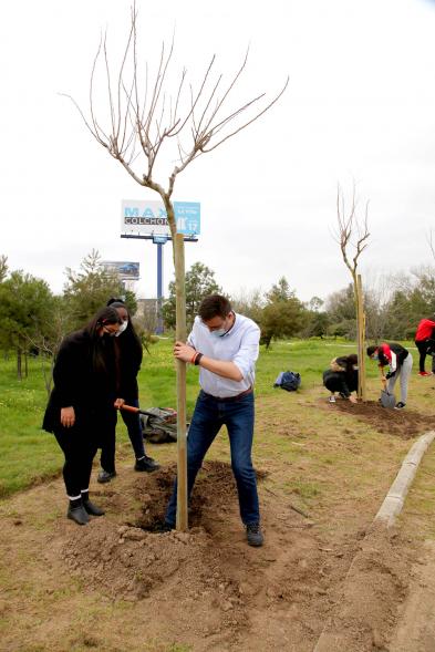 Concejal Miguel Ángel Arranz y alumnos del SEIS Aldebarán V. plantando un árbol.