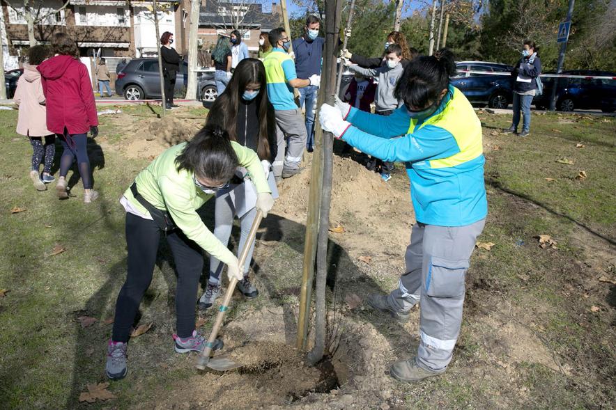 Plantación de Árboles por parte de Niños y Niñas del Consejo de la Infancia - Primer plano de dos jóvenes ayudadas por una jardinera plantando un árbol.
