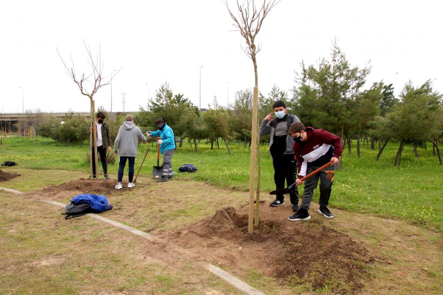 .Momento de la plantación de un árbol.