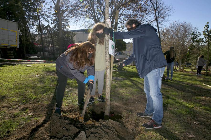 Plantación de Árboles por parte de Niños y Niñas del Consejo de la Infancia -  Imagen  de dos jóvenes plantando un árbol junto a  un coordinador. 