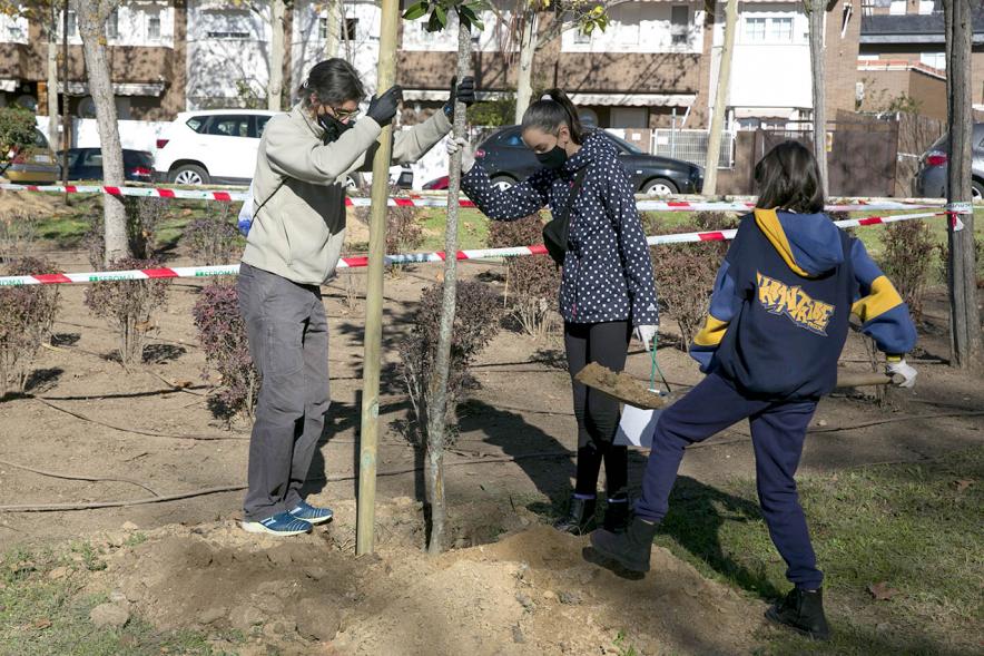 Plantación de Árboles por parte de Niños y Niñas del Consejo de la Infancia -  Imagen  de dos jóvenes plantando un arbol junto a  un coordinador. 