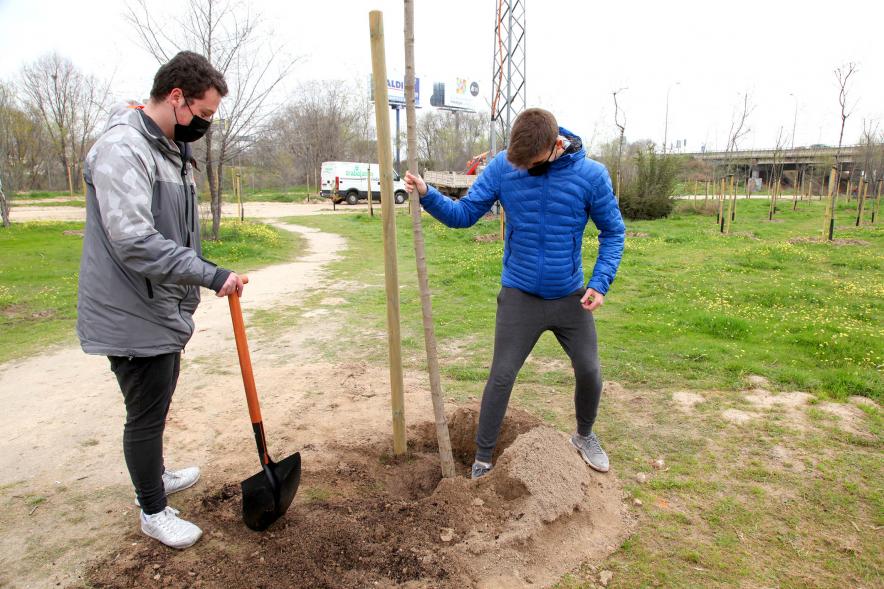 Momento de la plantación de un árbol.