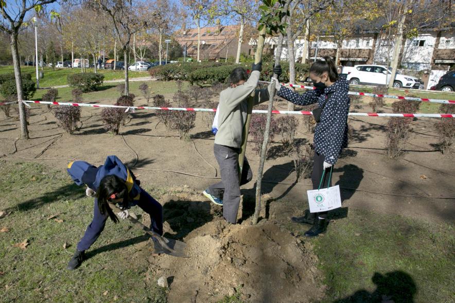 Plantación de Árboles por parte de Niños y Niñas del Consejo de la Infancia -  Imagen  de dos jóvenes plantando un arbol junto a  un coordinador. 