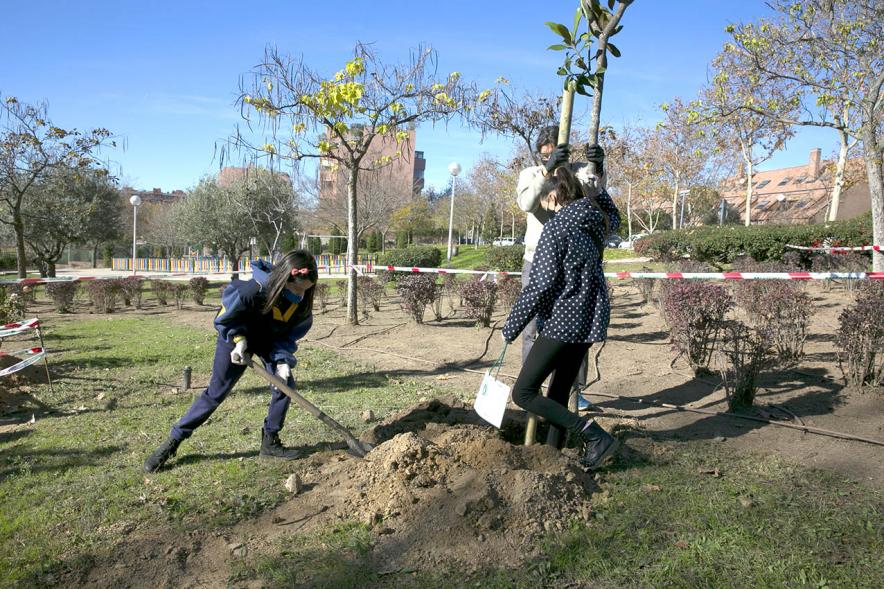 Plantación de Árboles por parte de Niños y Niñas del Consejo de la Infancia -  Imagen  de dos jóvenes plantando un arbol junto a  un coordinador. 