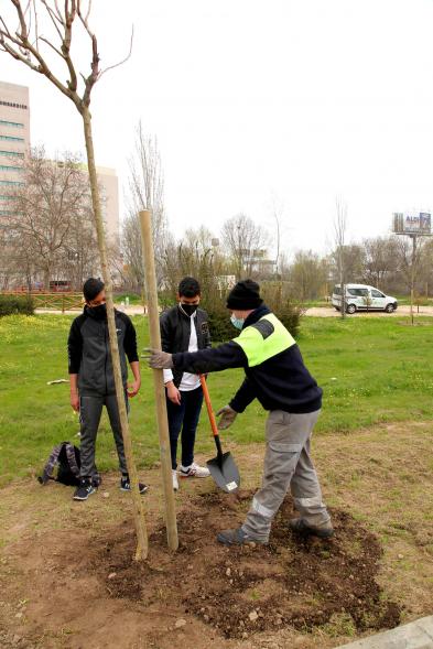 Alumnos y operario en un momento de la plantación de un árbol. 