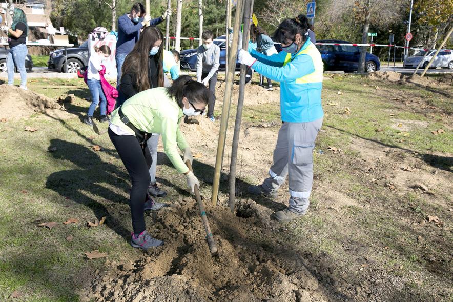 Plantación de Árboles por parte de Niños y Niñas del Consejo de la Infancia -  Imagen de un jardinero ayudando a dos voluntarias a plantar el árbol.