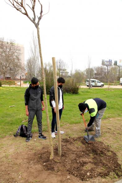 Alumnos  en un momento de la plantación de un árbol. 
