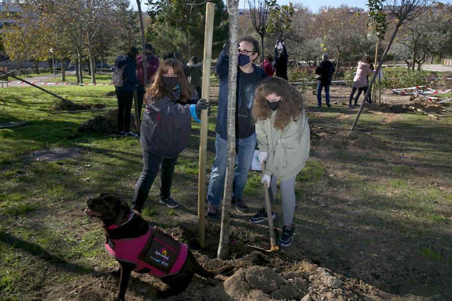 Plantación de Árboles por parte de Niños y Niñas del Consejo de la Infancia -  Imagen  de dos jóvenes plantando un arbol junto a  un coordinador. 