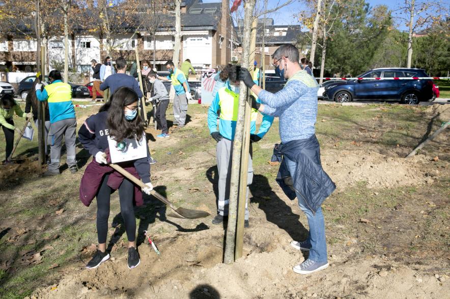Plantación de Árboles por parte de Niños y Niñas del Consejo de la Infancia - Imagen del alcalde Sánchez Acera  ayudando a plantar un  árbol.