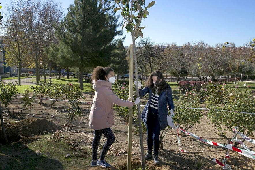 Plantación de Árboles por parte de Niños y Niñas del Consejo de la Infancia - Imagen  de dos jóvenes plantando un árbol.