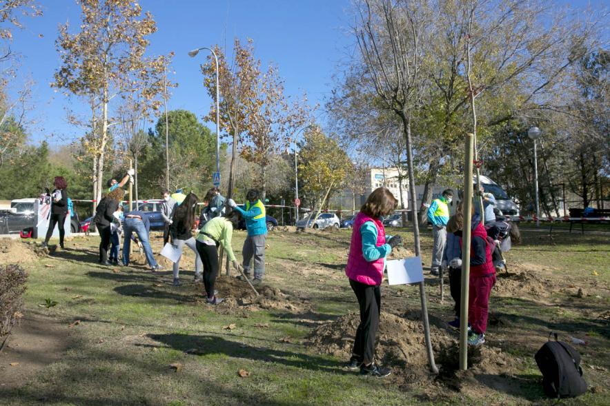 Plantación de Árboles por parte de Niños y Niñas del Consejo de la Infancia - Panorámica de los  jóvenes y los coordinadores plantando  los árboles.