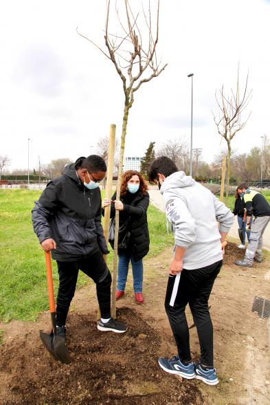 Momento de la plantación de un árbol.