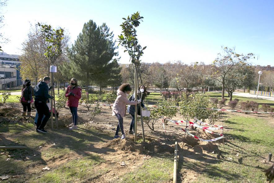 Plantación de Árboles por parte de Niños y Niñas del Consejo de la Infancia - Imagen  de varios  jóvenes plantando un árbol