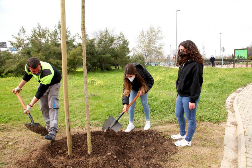 Momento de la plantación de un árbol.