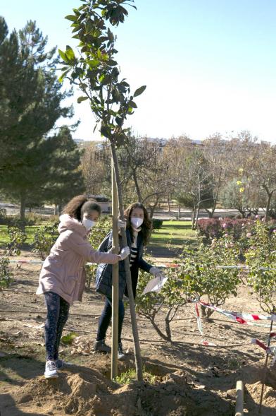 Plantación de Árboles por parte de Niños y Niñas del Consejo de la Infancia - Imagen  de dos jóvenes plantando un árbol