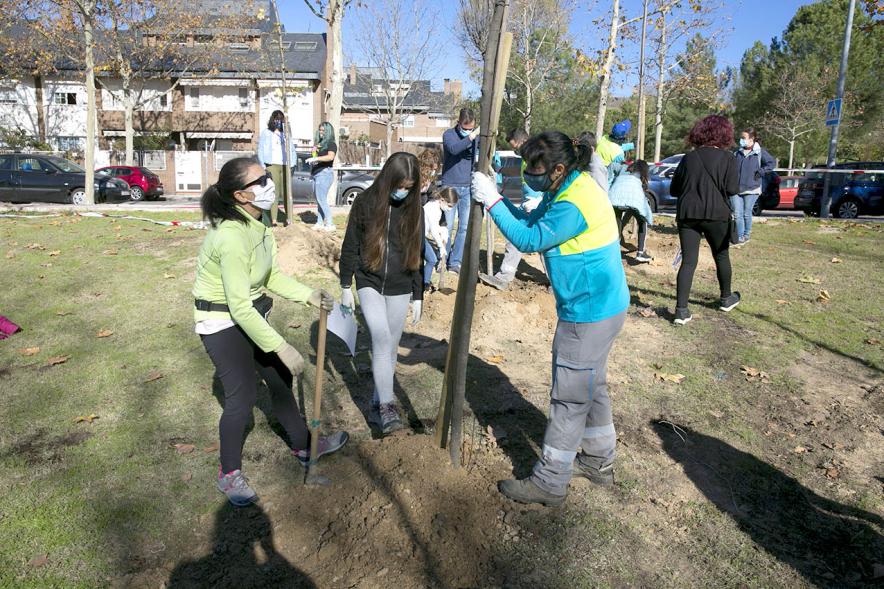Plantación de Árboles por parte de Niños y Niñas del Consejo de la Infancia -  Imagen del alcalde Sánchez Acera  ayudando a los jóvenes a  plantar los árboles.