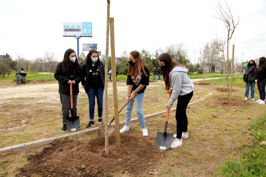 Alumnos del SEIS Aldebarán V. plantando un árbol.
