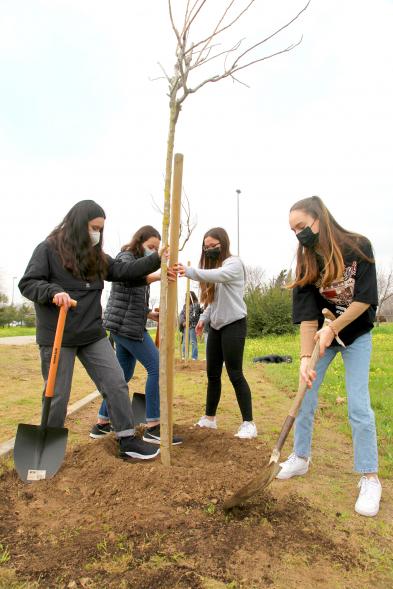 Alumnos del SEIS Aldebarán V. plantando un árbol.