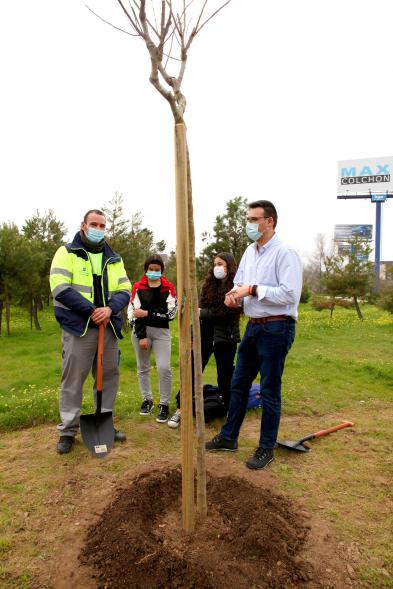 Concejal Miguel Ángel Arranz y alumnos del SEIS Aldebarán V. plantando un árbol.