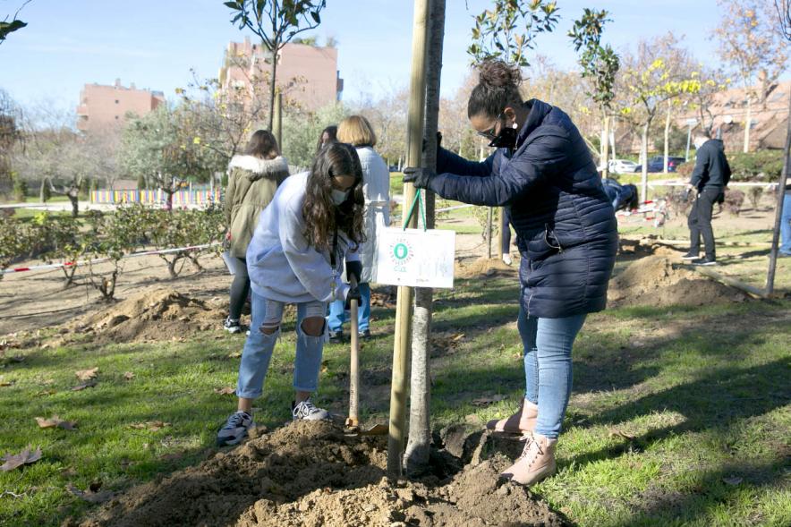 Plantación de Árboles por parte de Niños y Niñas del Consejo de la Infancia - Imagen de Cristina Martínez,  concejal de medio ambiente, ayudando a una joven a plantar un árbol.